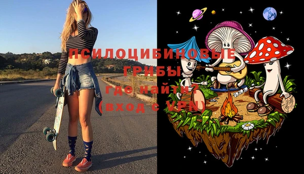 Альфа ПВП Алзамай