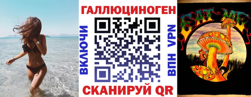 Галлюциногенные грибы Psilocybe  наркотики  Шуя 